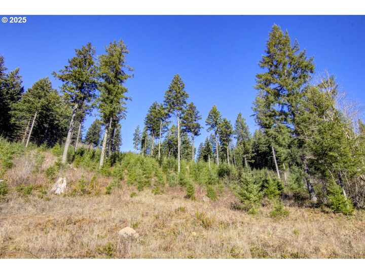Property Photo: NE Hancock Rd 2 WA 98607