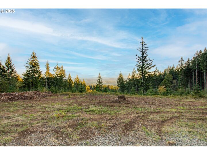 Property Photo:  NE Hancock Rd 2  WA 98607 