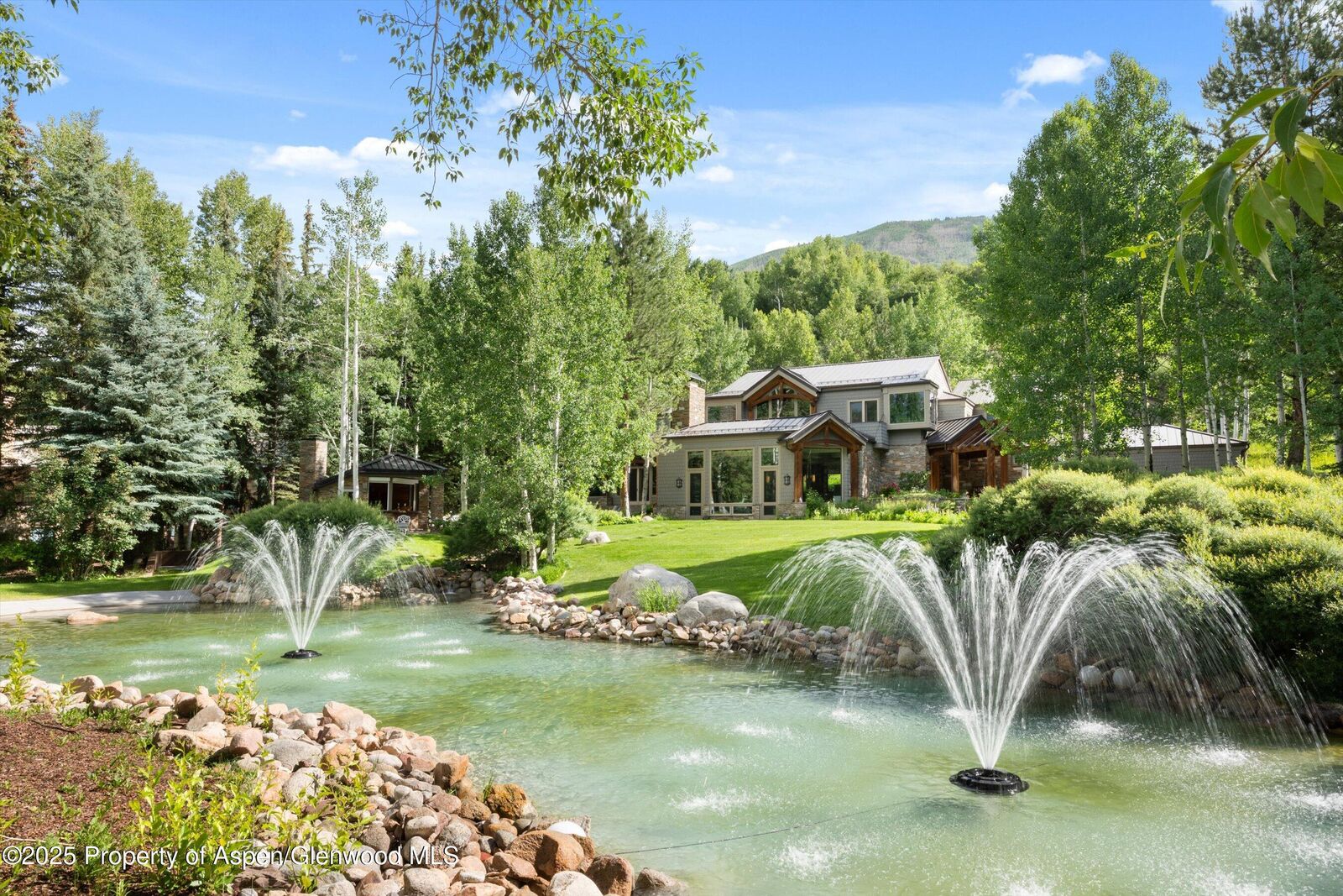 Property Photo:  645 Willoughby Way  CO 81611 
