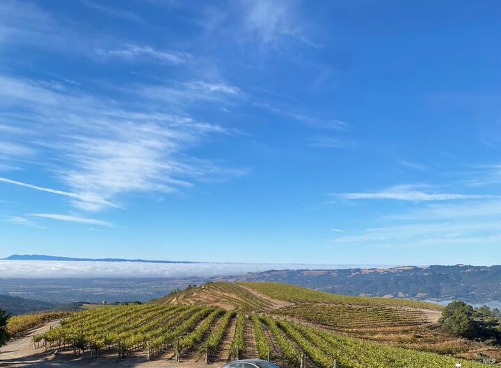 4420 Cavedale Road  Glen Ellen CA 95442 photo