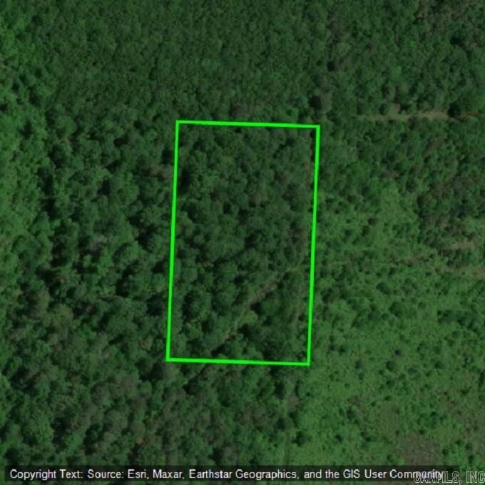 Property Photo:  5 Acres Highway 29  AR 71826 