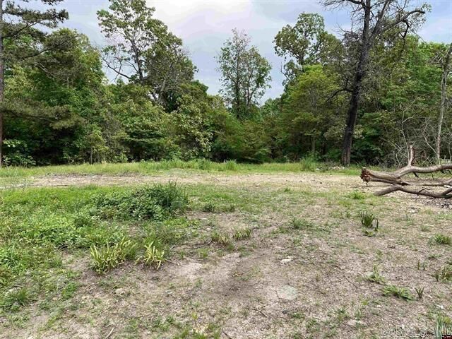 Property Photo:  1158 Brushy Fork Road  AR 72687 