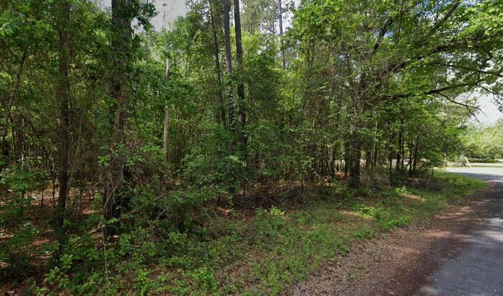 Property Photo: 0 Hodges Road SC 29556