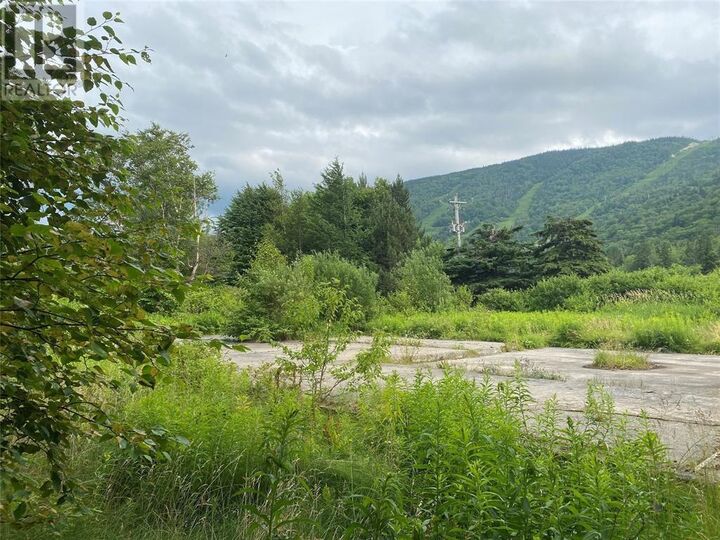 Property Photo:  21-23 Dogwood Drive  NL A2H 2N2 