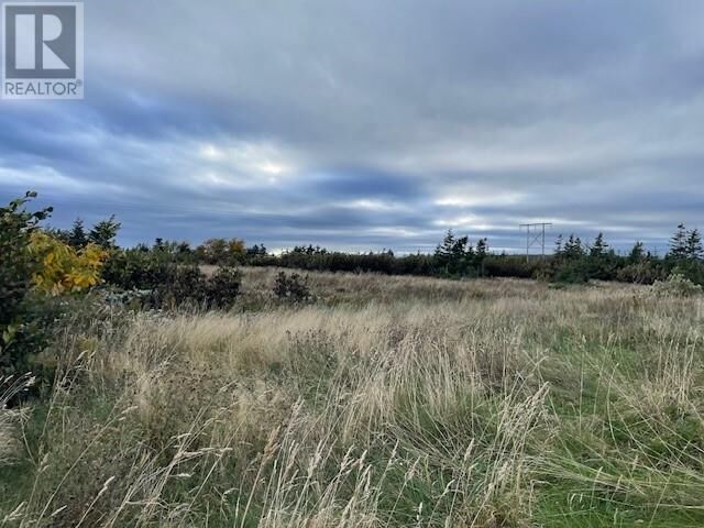 Property Photo:  Lot 1 McIsaac'S Lane  NL A0N 1T0 