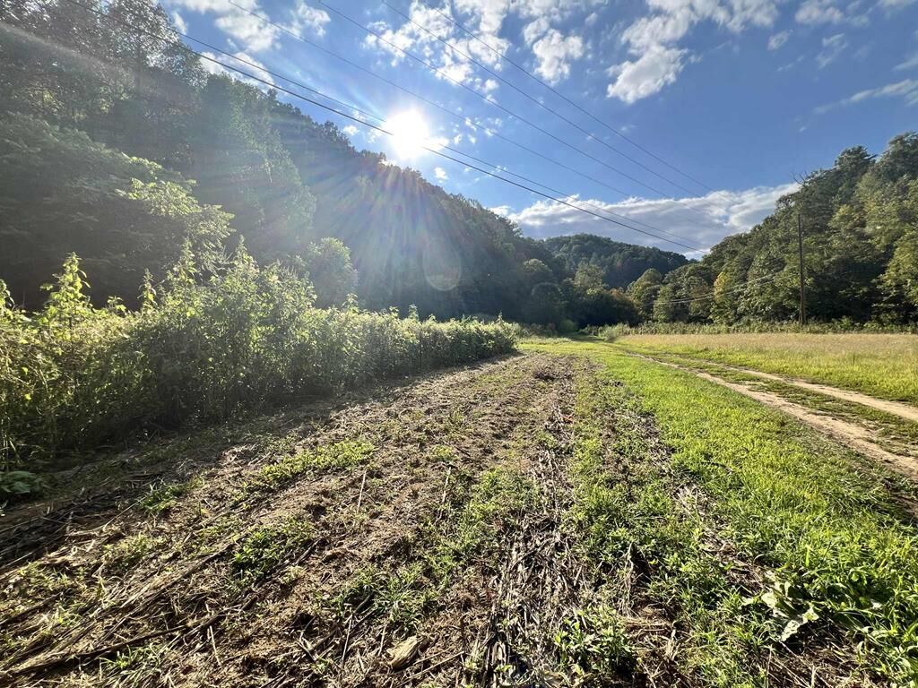 Property Photo:  0000 Rockhouse Fork Of Marrobone  Map# 085-00-00-015.05  KY 41522 