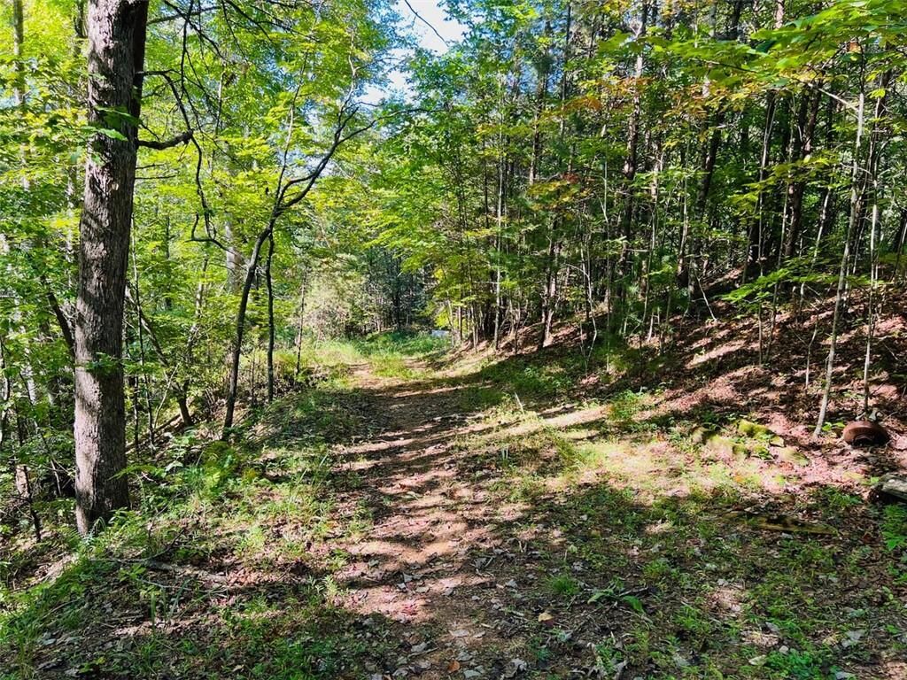 Property Photo:  220 Maxwell Mountain Road  GA 30513 