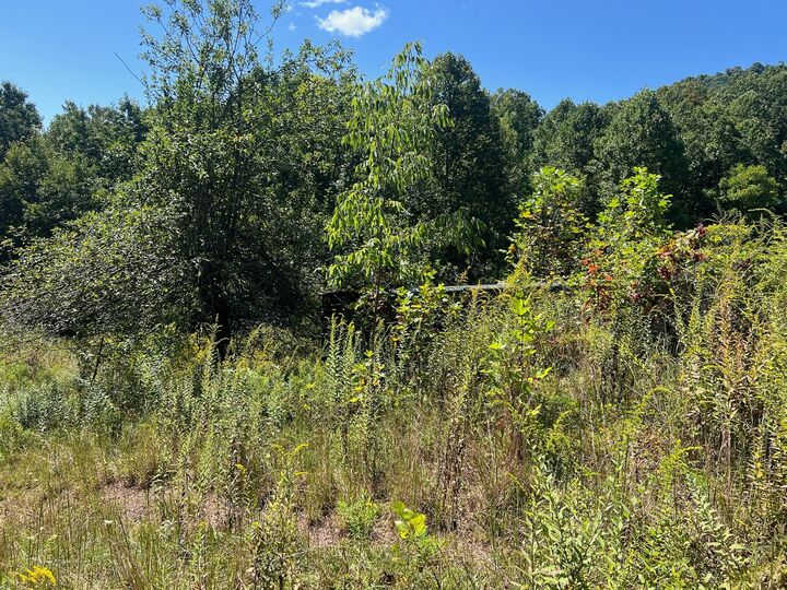 Property Photo: Hamilton Ridge Road WV 24910