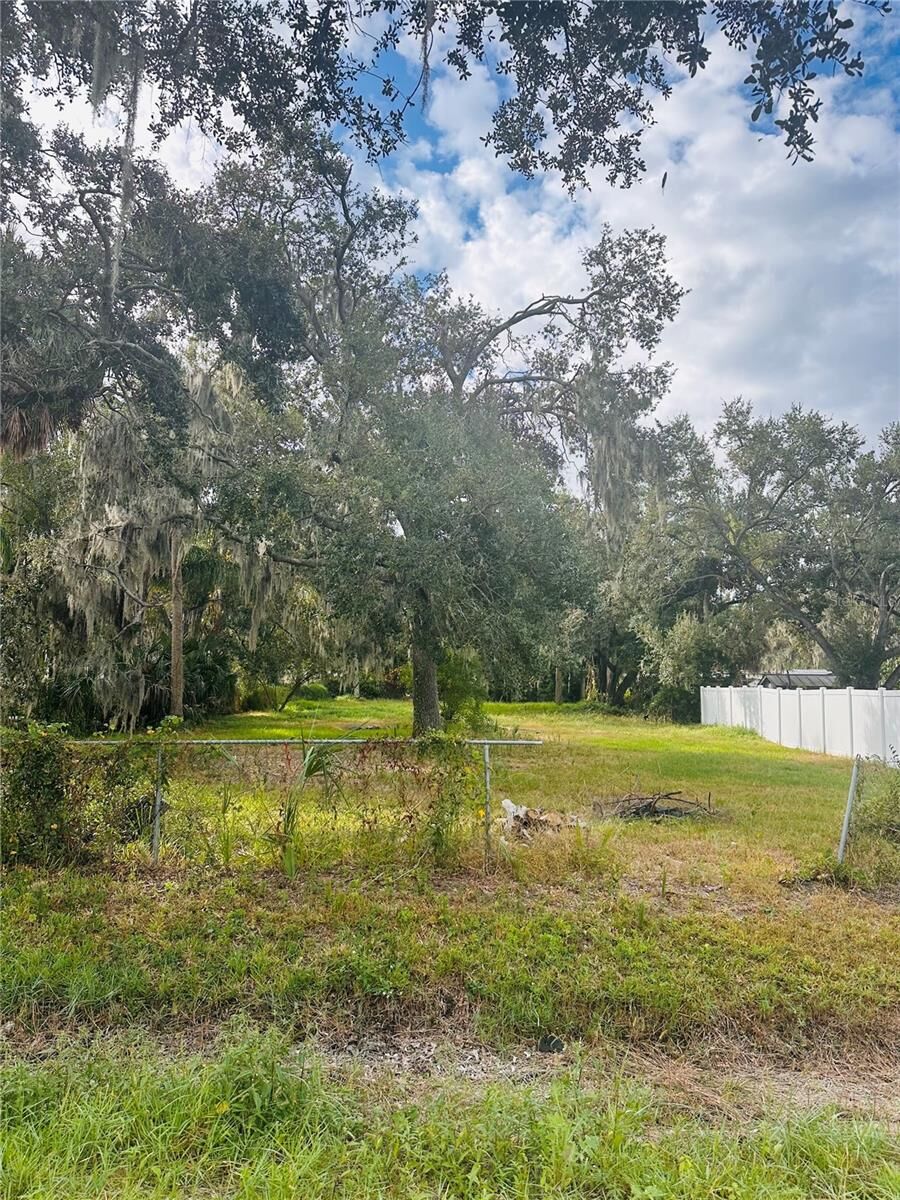 Property Photo:  0 Palm Ave  FL 33534 