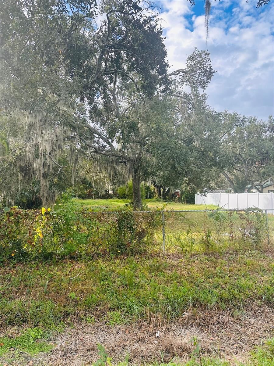 Property Photo: 0 Palm Ave FL 33534