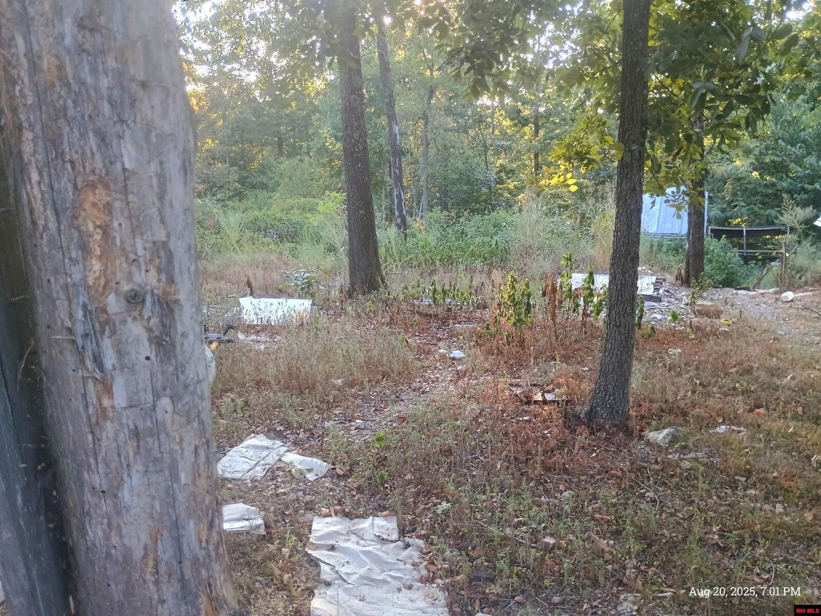 Property Photo:  1158 Brushy Fork Road  AR 72687 