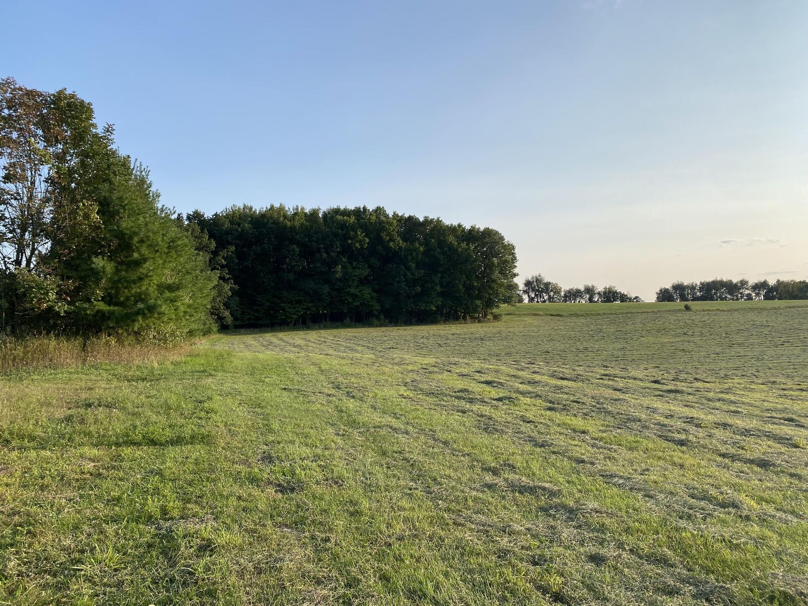 Property Photo: 4451 Hillman Road MI 48850