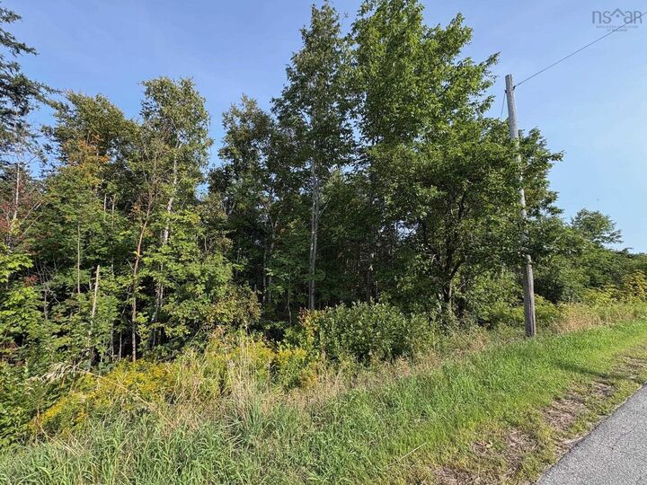 Property Photo:  Thorburn Road  NS B0K 1W0 