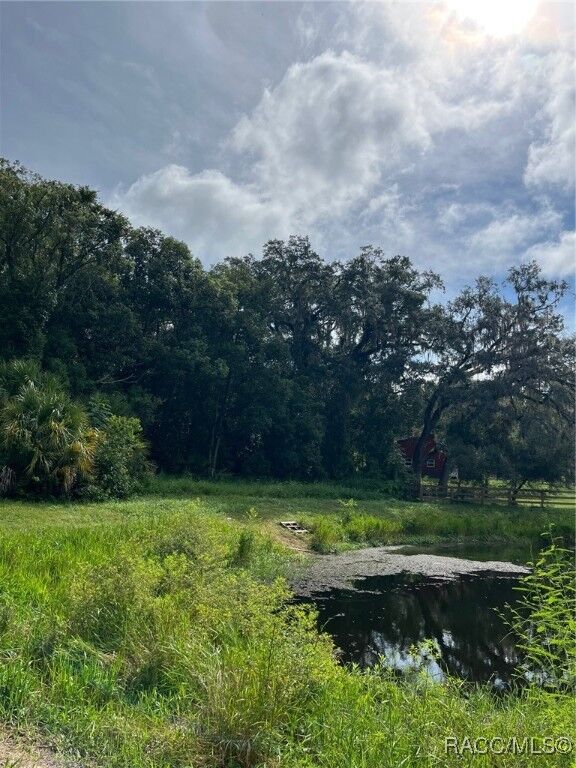 Property Photo: 4780 S Silver Fox Terrace FL 34452