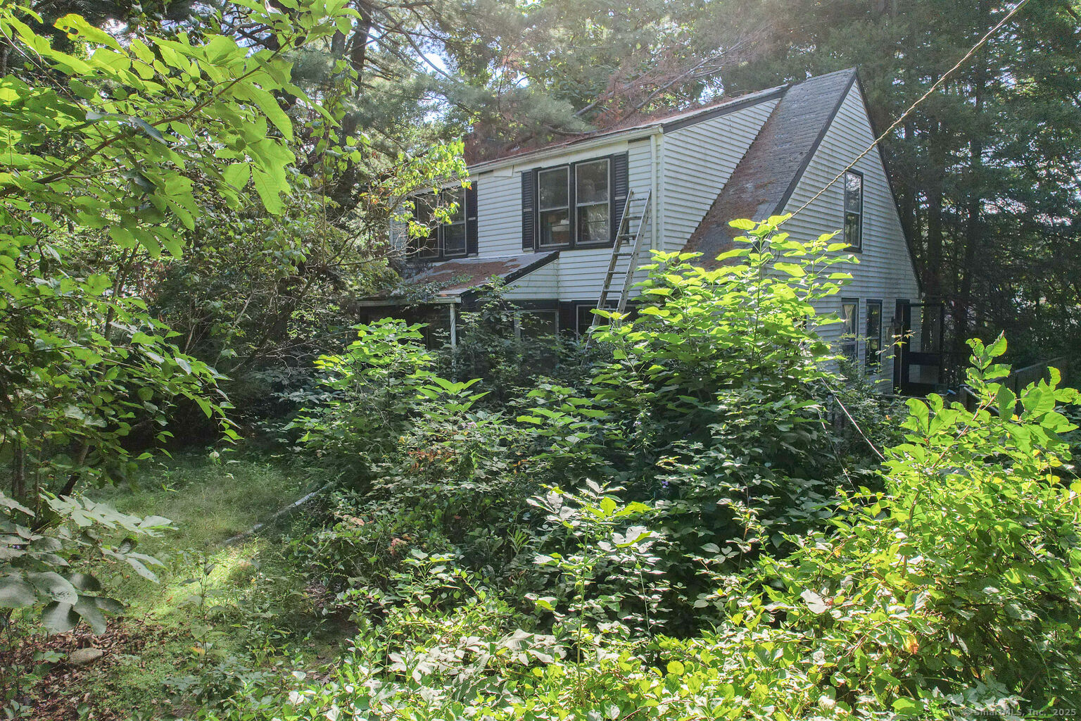 Property Photo:  1335 Wolf Hill Road  CT 06410 