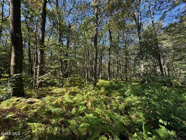 Off Grouse Lane  New Paris PA 15554 photo