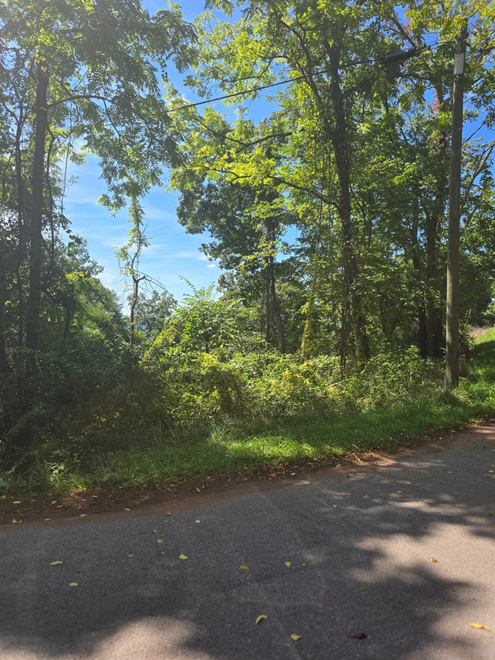 Property Photo:  0 Toms Run  WV 25979 