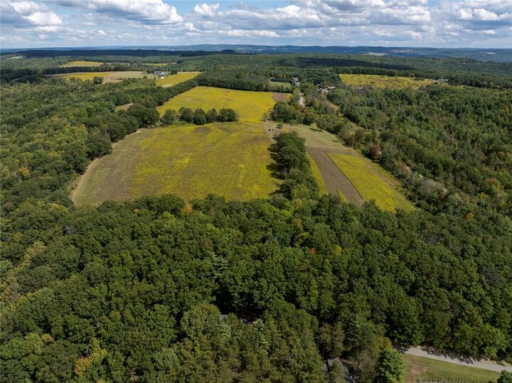 Property Photo:  8015 Peacock Road  NY 14810 