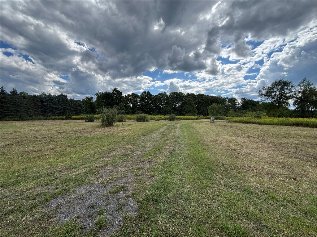Property Photo:  1770 County Route 50  NY 14437