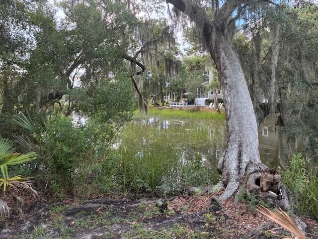 Property Photo: 509 Willow Branch Way SC 29464