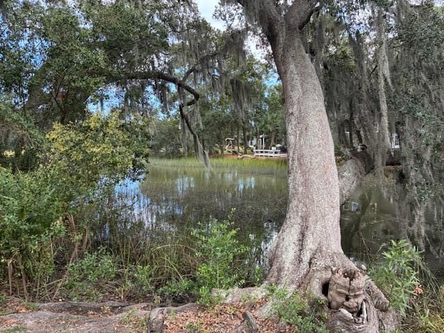 Property Photo:  509 Willow Branch Way  SC 29464 
