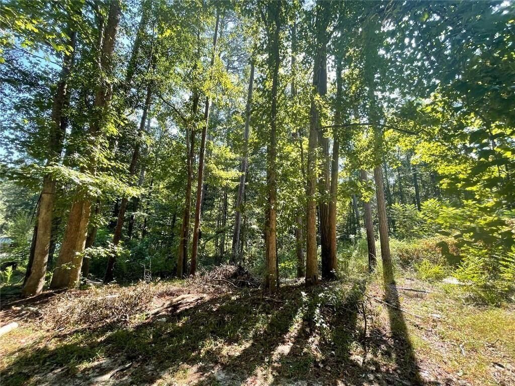 Property Photo: 6031 Falcon Court GA 30106