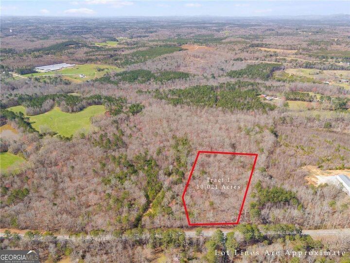 Property Photo:  Tract4 Georgia Highway 100  GA 30113 