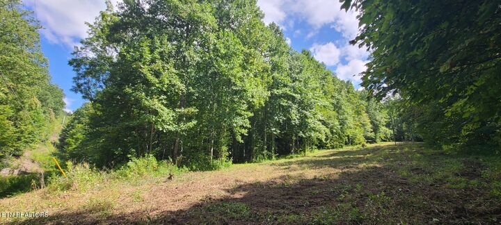 Property Photo:  Par 033.01 South Highway 32  TN 37722 