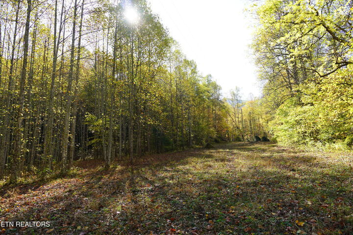 Property Photo: Par 033.01 South Highway 32 TN 37722