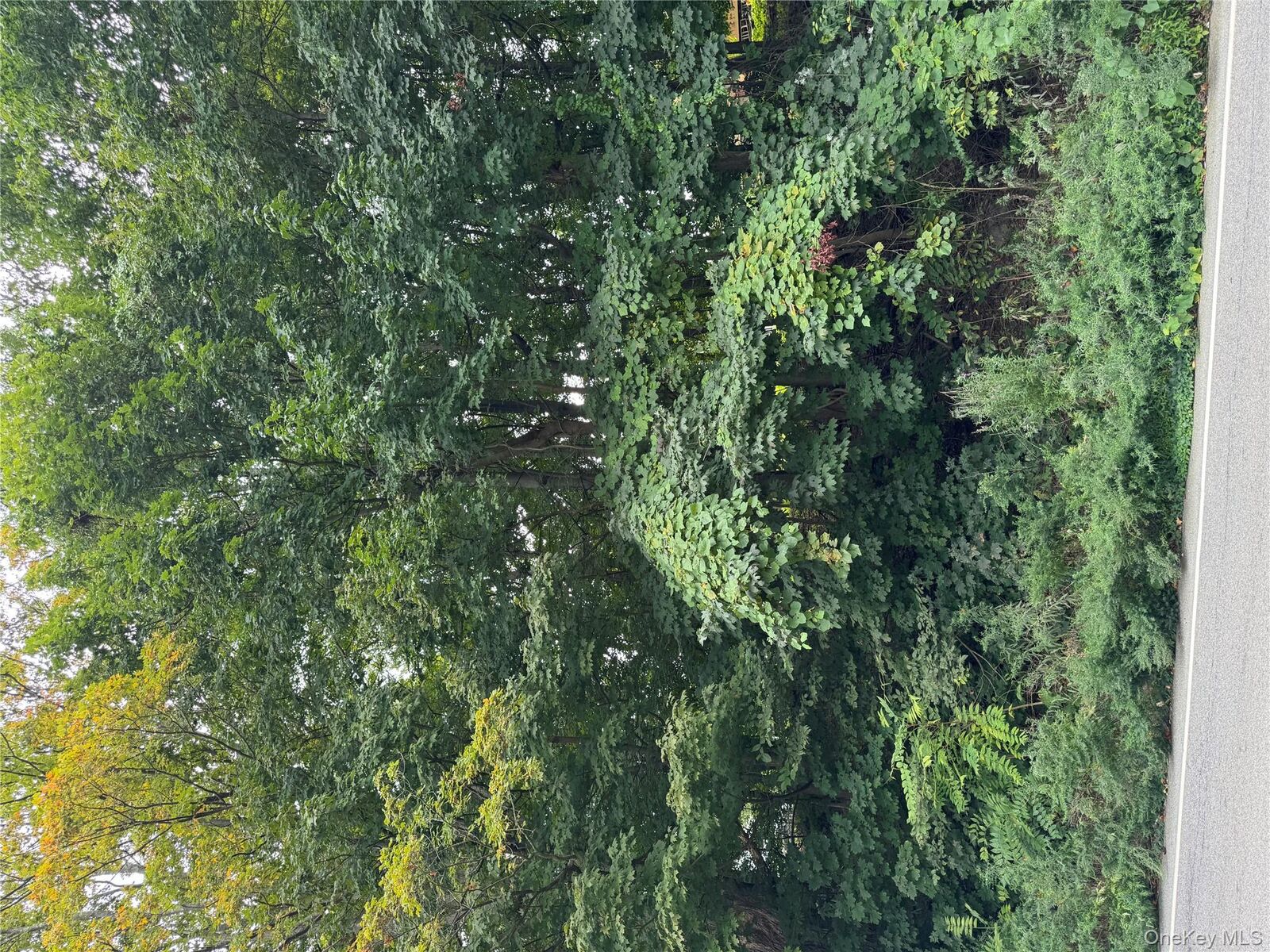 Property Photo:  1605 Crompond Road  NY 10566 