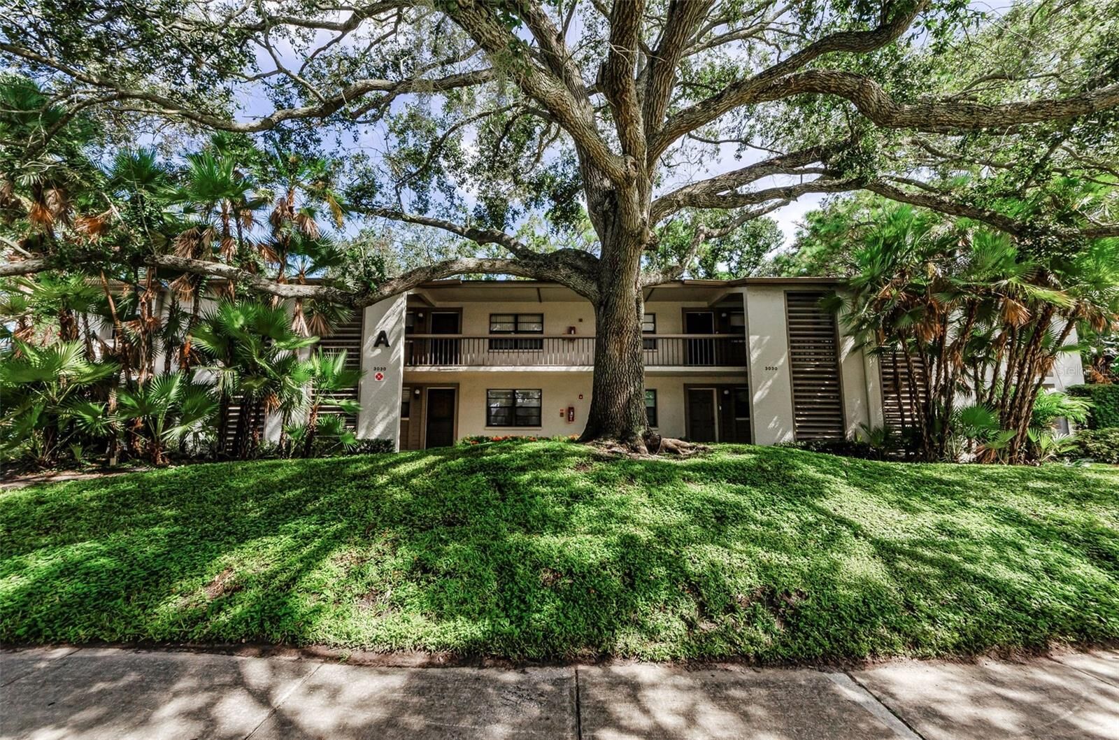Property Photo: 3030 Eastland Boulevard A102 FL 33761