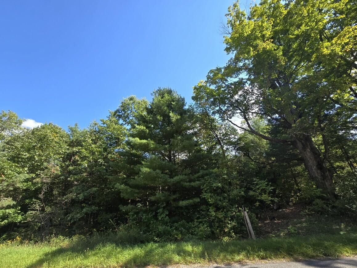 Property Photo:  00 N Hawkins Road  MI 49656 