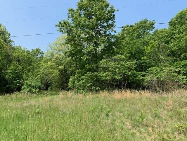 Property Photo:  0 65th Street  MI 49423 