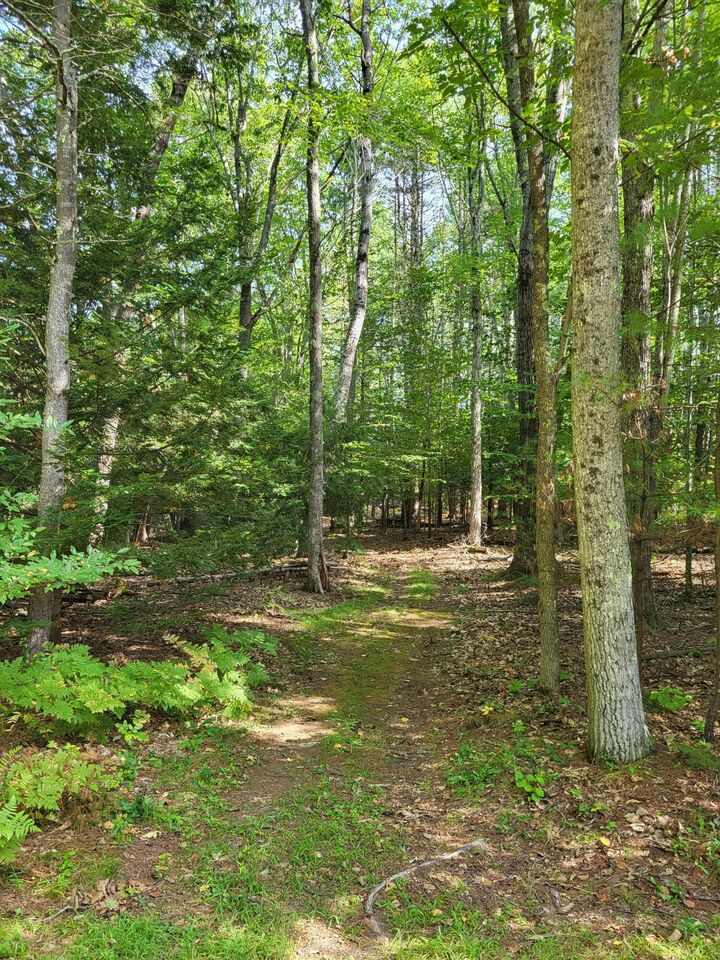 Property Photo:  99 Land Of Nod Road  ME 04062 