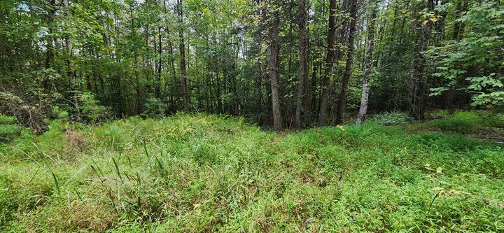 Property Photo: Lot 45 Old Mill Pond Road GA 30559