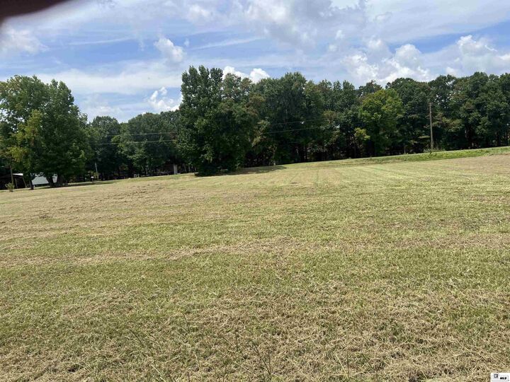 Property Photo:  Lot 10 &Amp 11 Virgil Road  LA 71261 