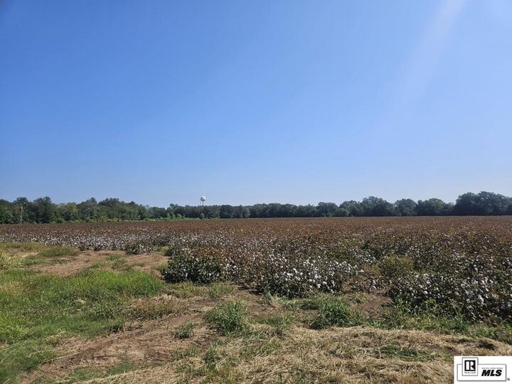 Property Photo: 0 Magnolia LA 71269