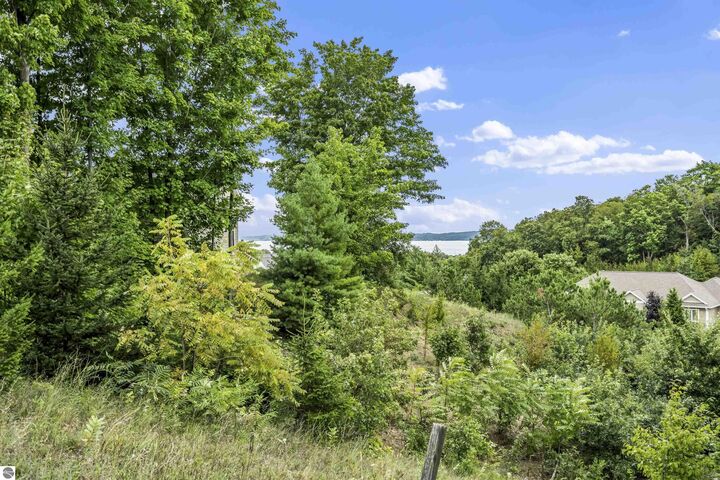 Property Photo: 00 Buteo Drive MI 49684