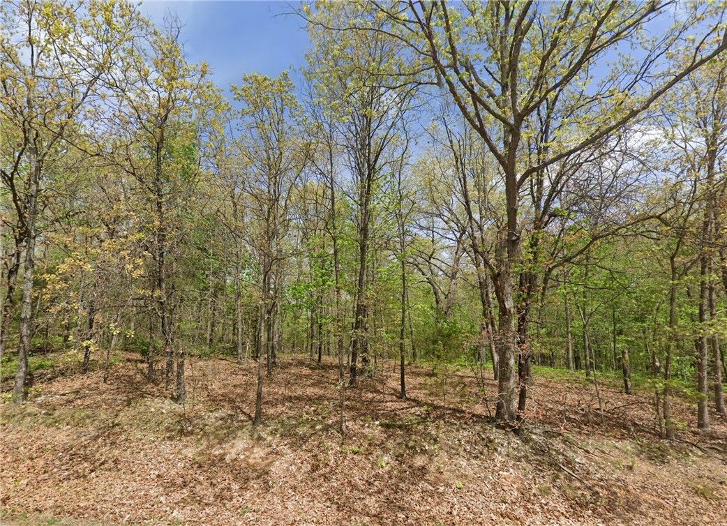 Property Photo: Ilford Lane AR 72715