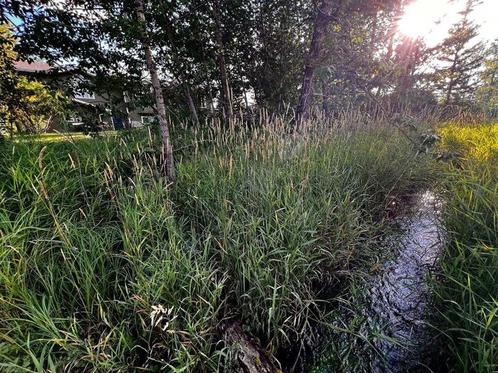 Property Photo: 550 4 Avenue W AB T0M 1X0