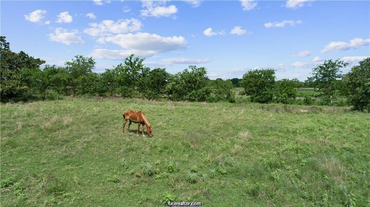 Property Photo: 16547 Kelton Lane TX 77861