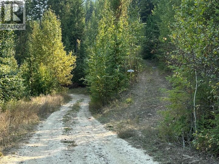 Property Photo:  200 Lower Arrow Lake  BC V1N 4V8