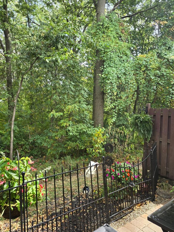 Property Photo:  8158 Newark Avenue  OH 43081 