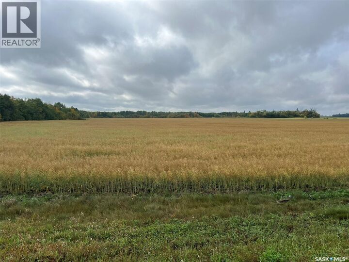Property Photo:  Rm Buckland Farm Land  SK S6V 5E6 