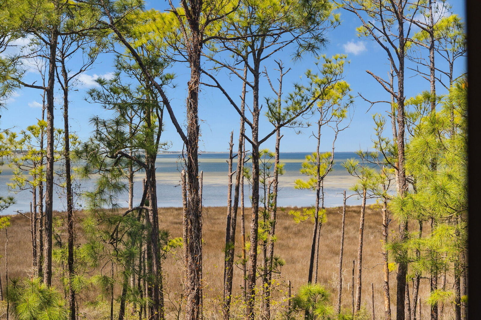 Property Photo: 9700 Grand Sandestin Boulevard Unit 4312 FL 32550