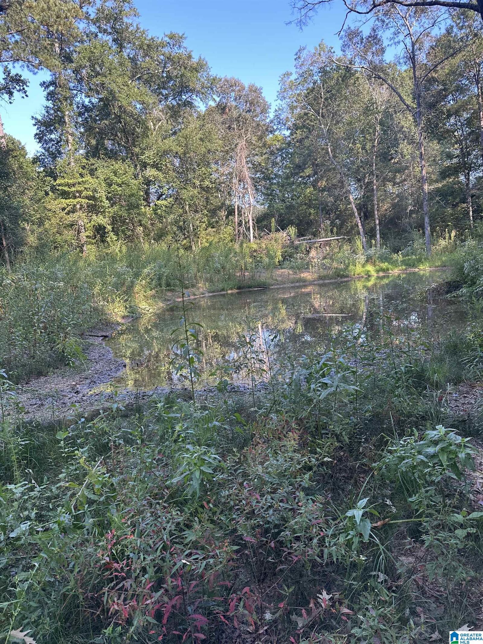 Property Photo: 135 Maddox Road X AL 36272