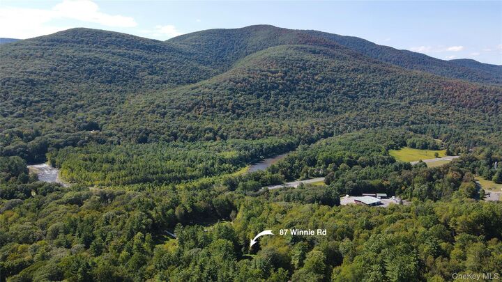Property Photo:  87 Winnie Road  NY 12457 