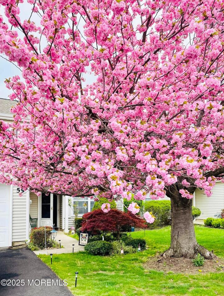 Property Photo: 59 Perri NJ 07728