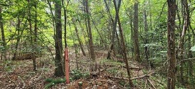 Property Photo:  Lot 36A Old Mill Pond Road  GA 30559 