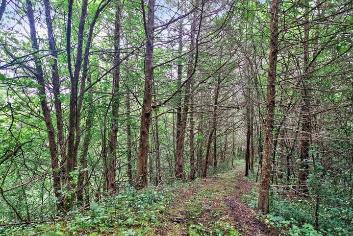 Property Photo:  3100 W 230th Street  MN 55352 